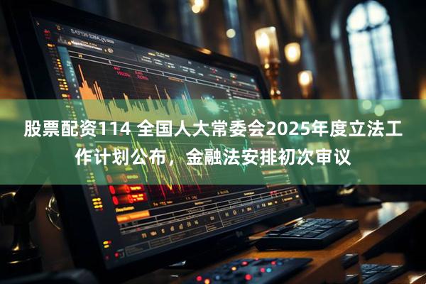 股票配资114 全国人大常委会2025年度立法工作计划公布，金融法安排初次审议